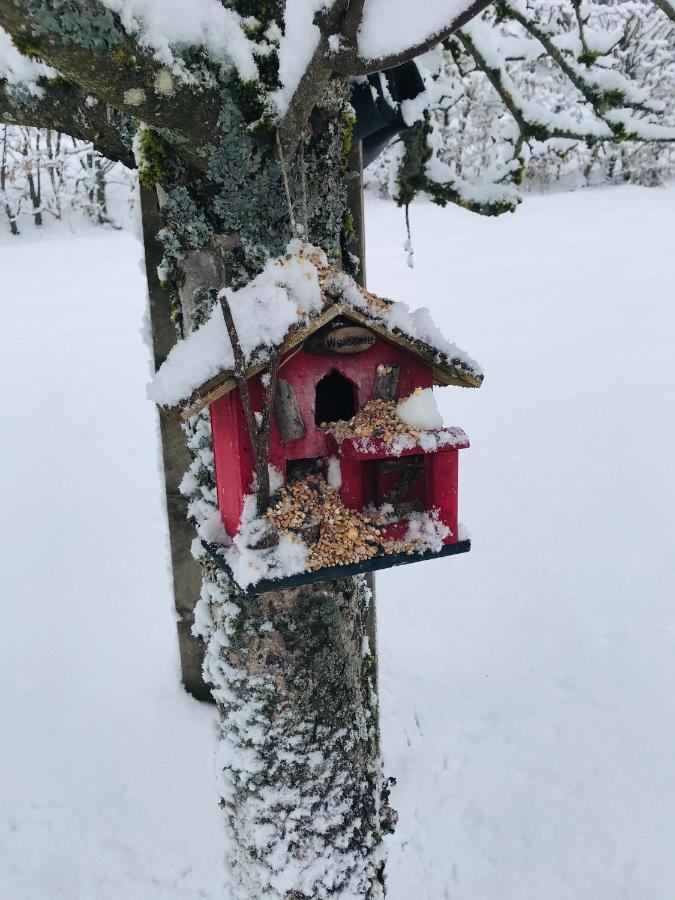 Gite De La Mesange Rochesson Luaran gambar